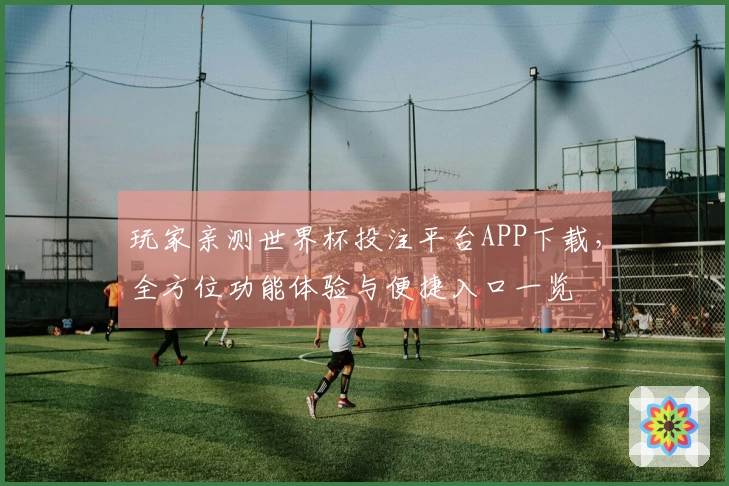 玩家亲测世界杯投注平台APP下载，全方位功能体验与便捷入口一览