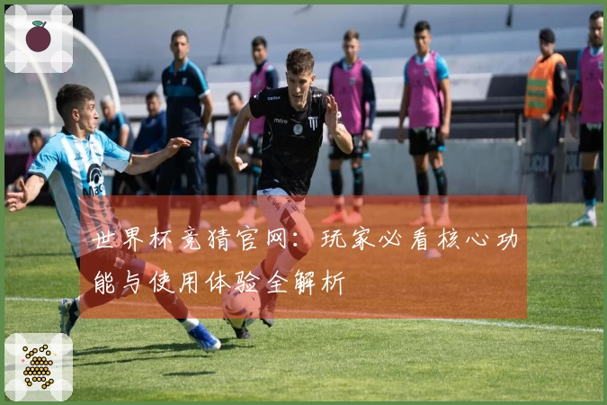 世界杯竞猜官网:玩家必看核心功能与使用体验全解析