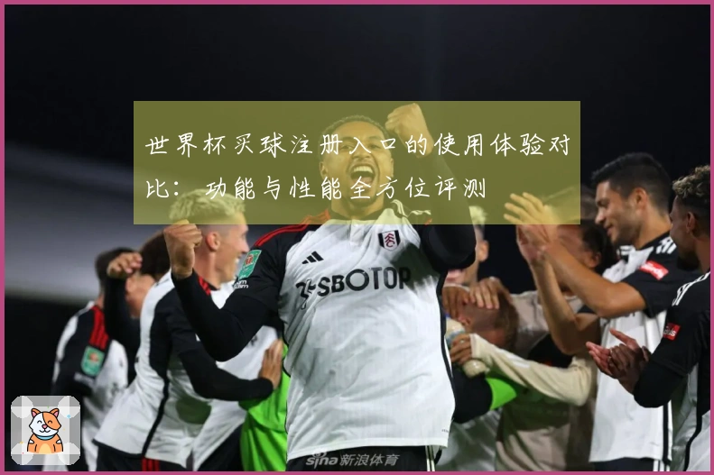 世界杯买球注册入口的使用体验对比：功能与性能全方位评测