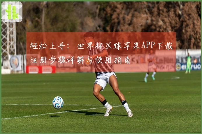 轻松上手：世界杯买球苹果APP下载注册步骤详解与使用指南