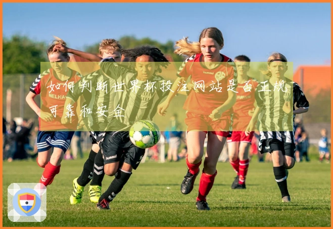 如何判断世界杯投注网站是否正规可靠和安全
