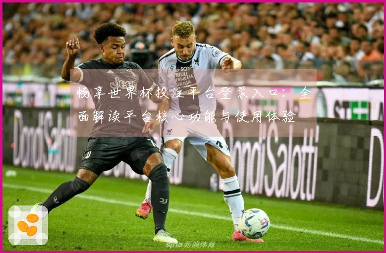 畅享世界杯投注平台登录入口：全面解读平台核心功能与使用体验