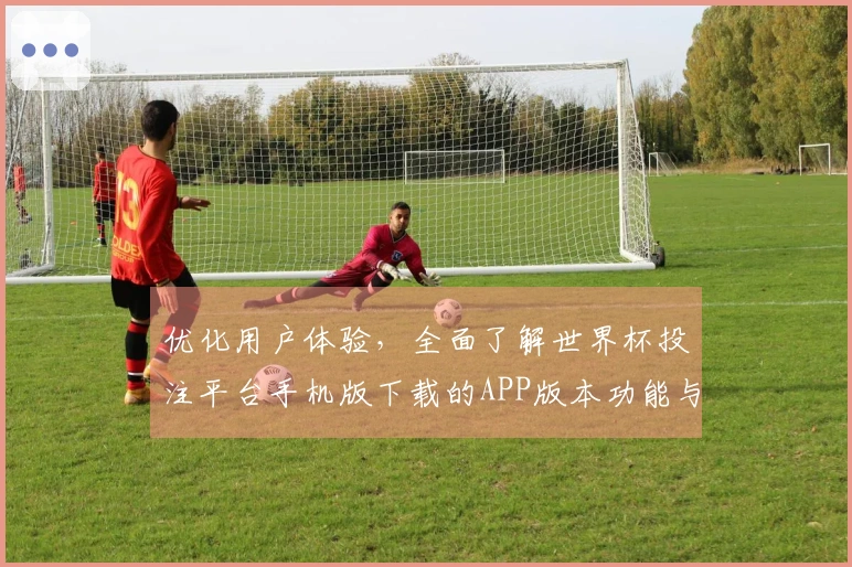 优化用户体验，全面了解世界杯投注平台手机版下载的APP版本功能与使用指南