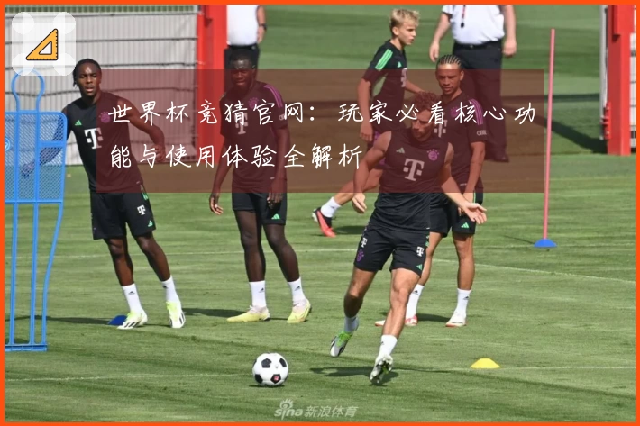 世界杯竞猜官网：玩家必看核心功能与使用体验全解析