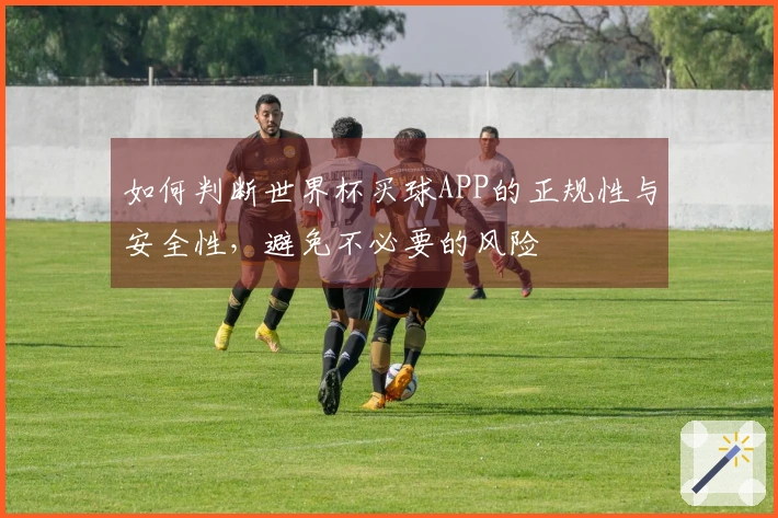 如何判断世界杯买球APP的正规性与安全性，避免不必要的风险
