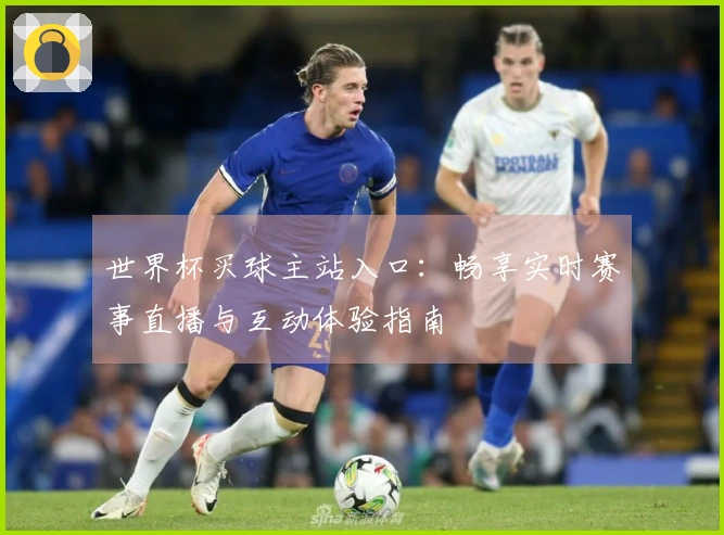 世界杯买球主站入口：畅享实时赛事直播与互动体验指南