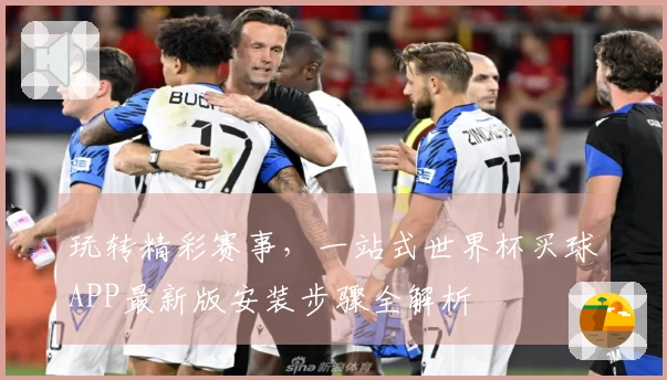 玩转精彩赛事，一站式世界杯买球APP最新版安装步骤全解析