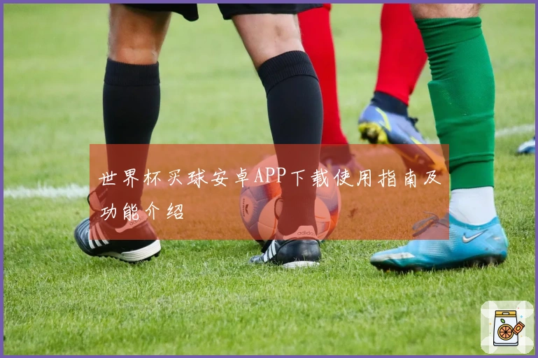世界杯买球安卓APP下载使用指南及功能介绍